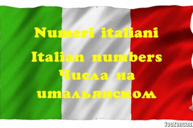 3444398563 in Italy (2026 Investigation)
