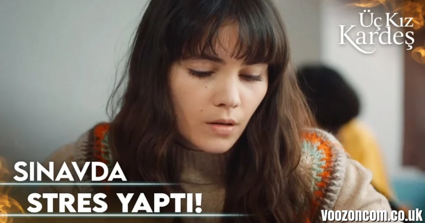 Buzdaki Kız Kardeş İzle (2026) – Full Story, Where to Watch