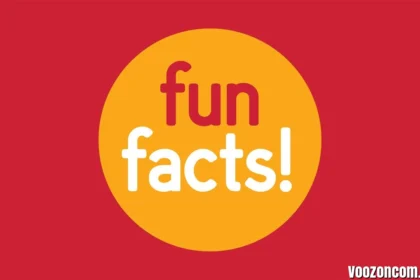 Fun Facts Lovelolablog