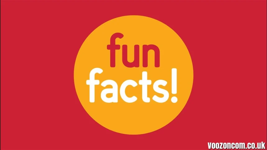 Fun Facts Lovelolablog