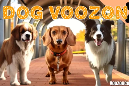 Dog Dog Voozon (Dog Vision)
