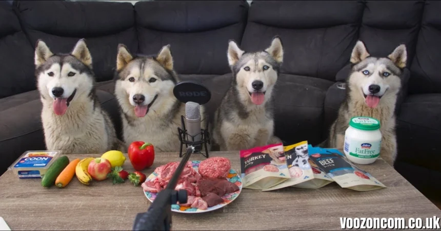 Husky Can: The Complete UK Siberian Husky Guide