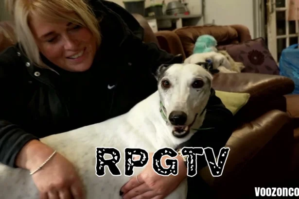 RPGTV (Racing Post Greyhound TV)